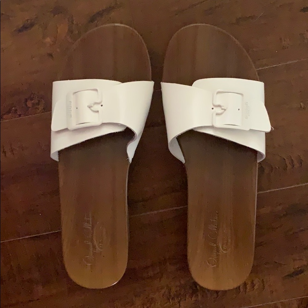 Dr. Schools Patent Learher Slides - image 1